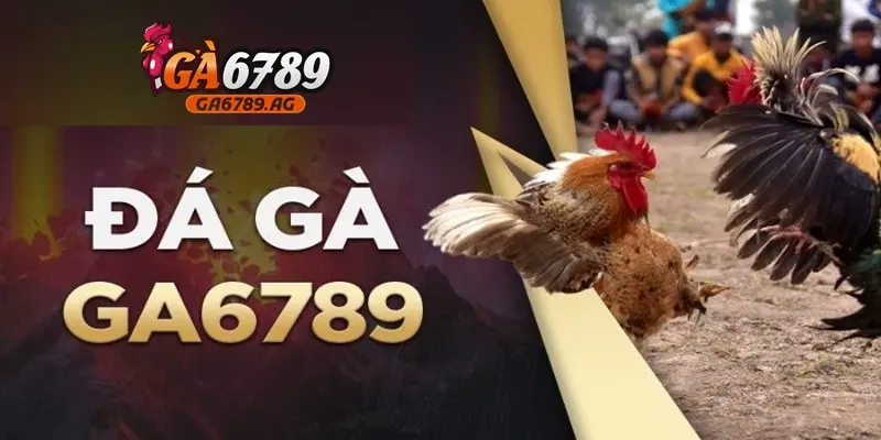 GA6789 - Sân chơi đá gà trực tuyến uy tín